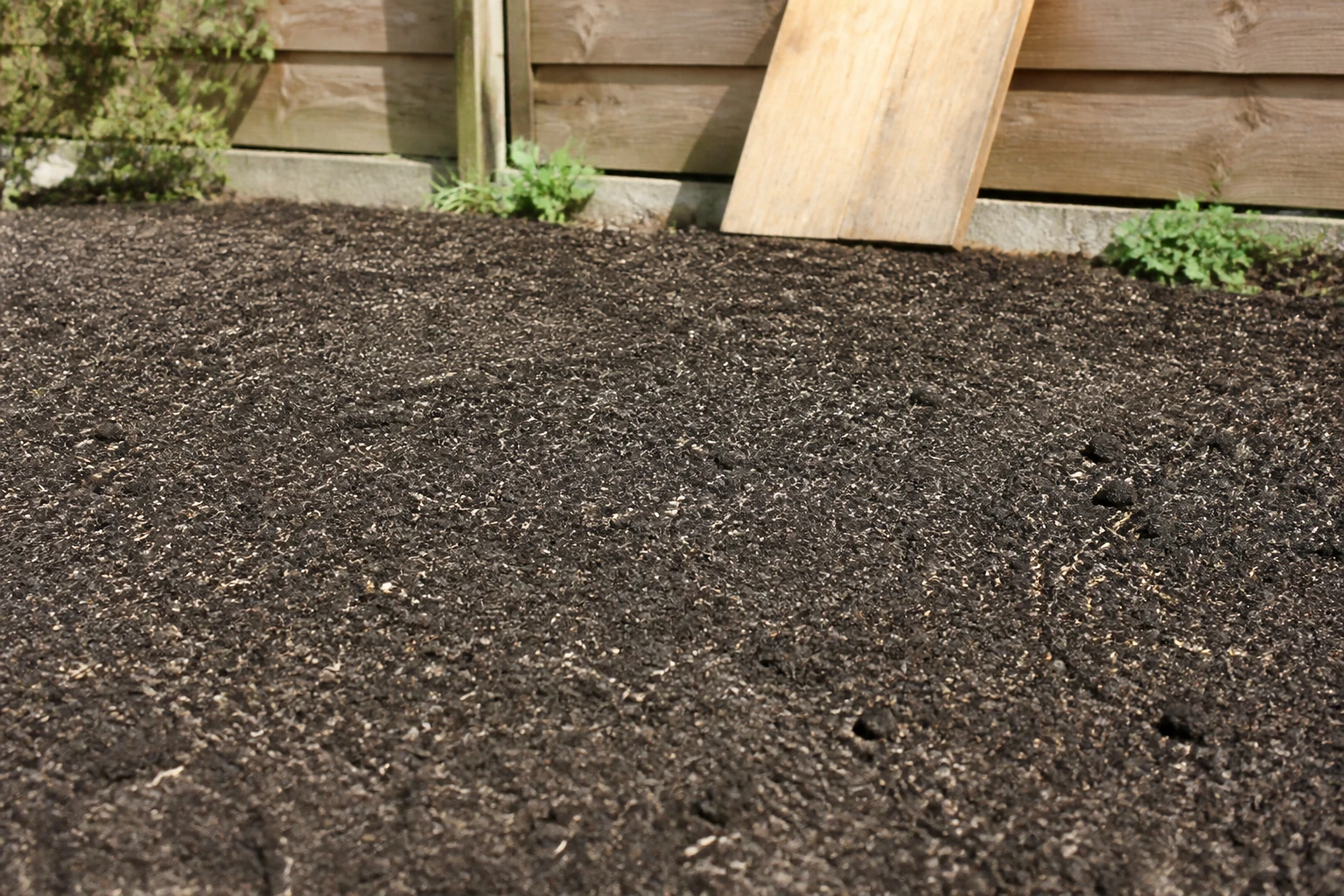 Sol fraîchement semé avec des graines de gazon visibles en surface, planche de bois posée à plat