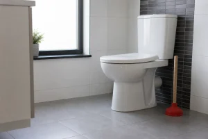 Ventouse rouge posée près de toilettes blanches dans une salle de bain lumineuse
