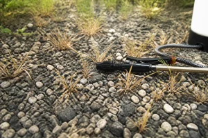 Allée de gravier avec herbes désherbées et pulvérisateur de vinaigre blanc posé au sol