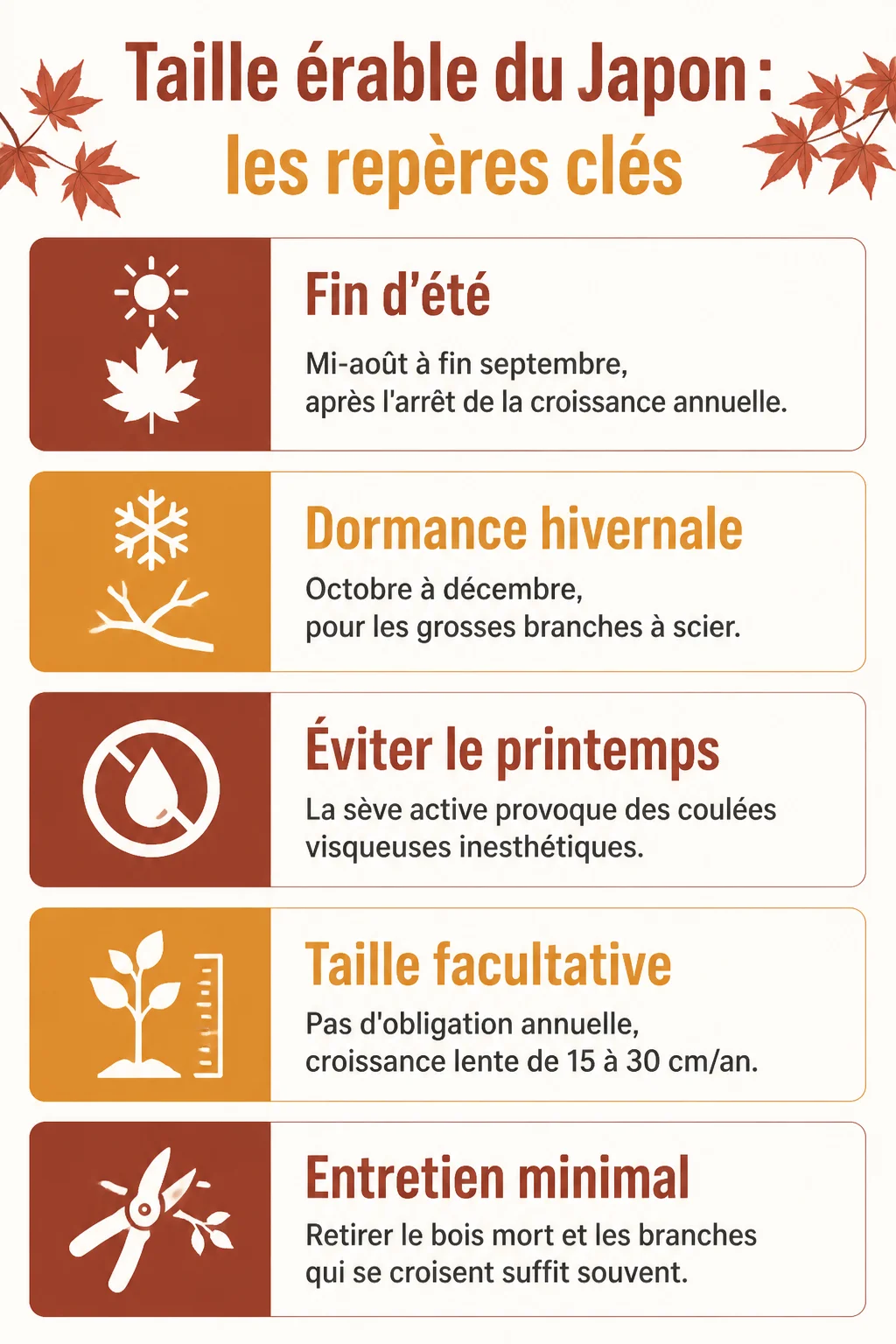 Taille érable du Japon : les repères clés : Fin d'été, Dormance hivernale, Éviter le printemps, Taille facultative, Entretien minimal