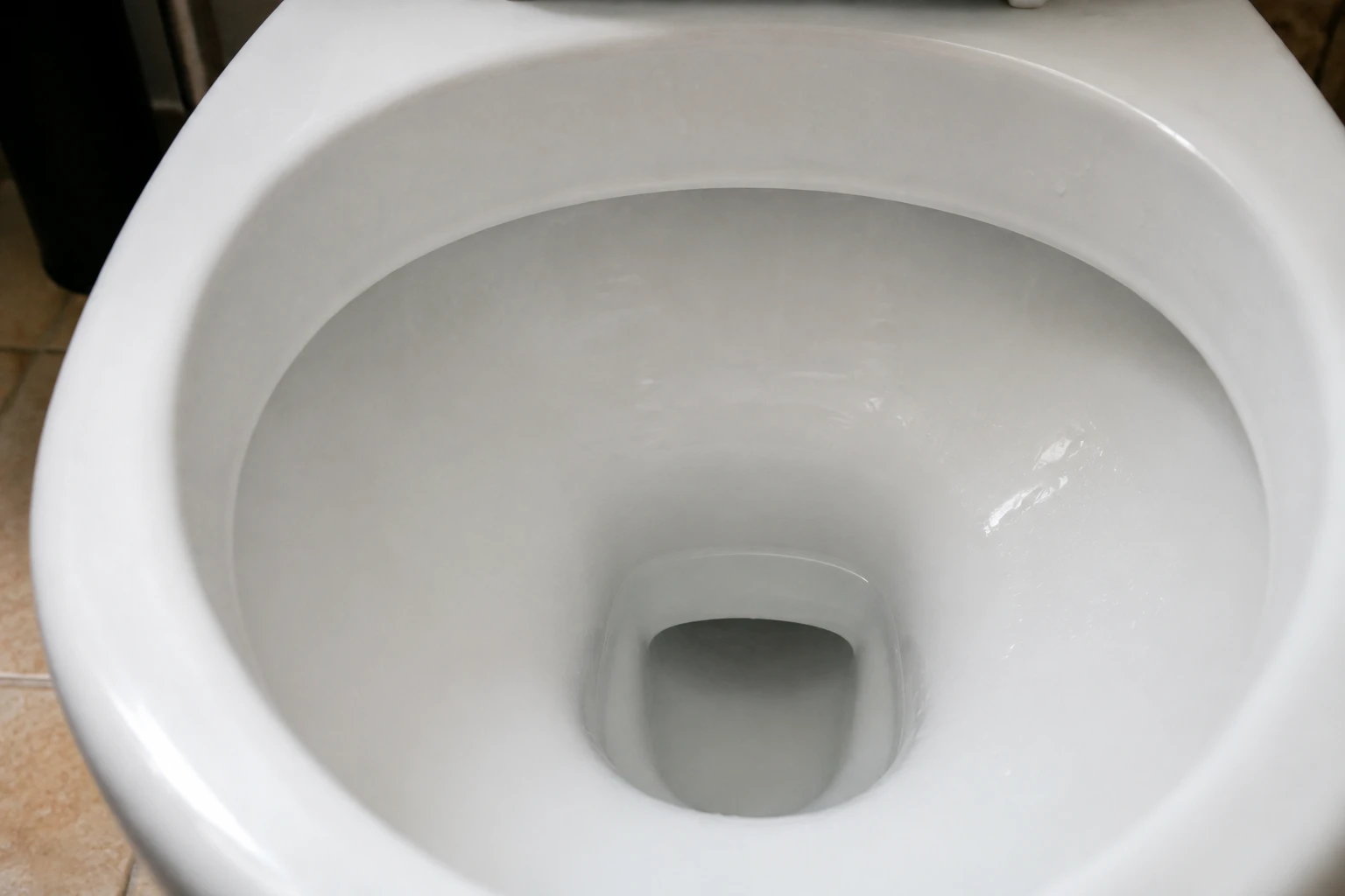 Cuvette de toilettes vue de dessus pour illustrer le diagnostic des vers dans les toilettes